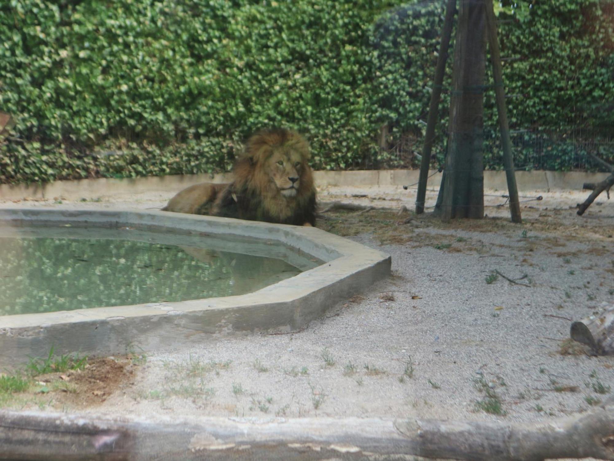 La Duna Lignano Sabbiadoro Luaran gambar